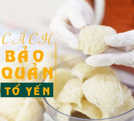 Cách bảo quản tổ yến giữ trọn dinh dưỡng