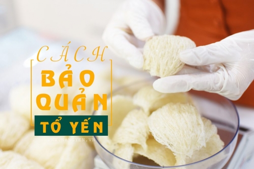Cách bảo quản tổ yến giữ trọn dinh dưỡng